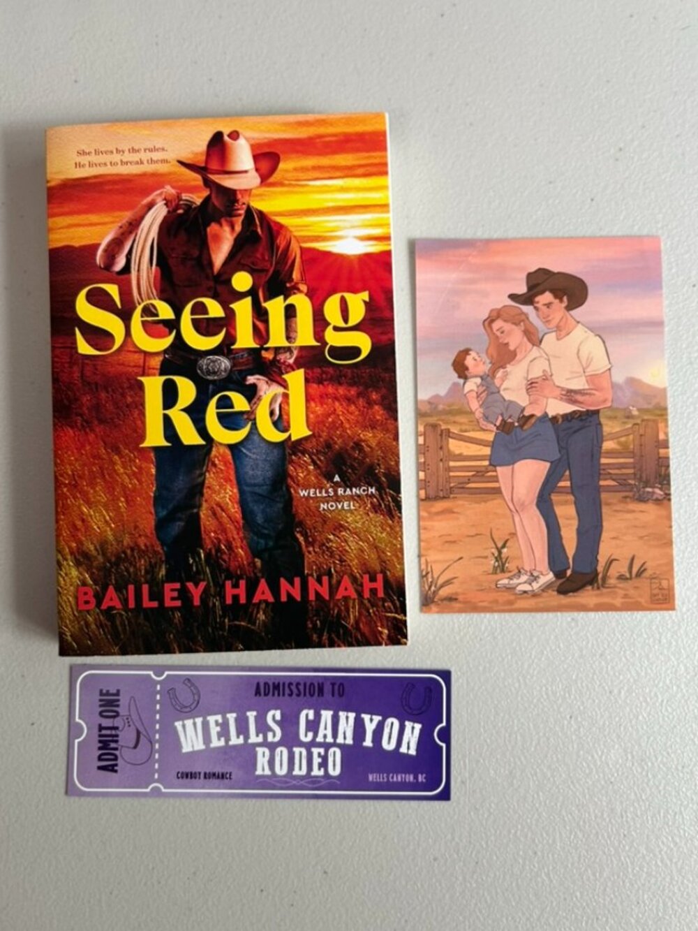 3 for $20 📚 | Seeing Red by Bailey Hannah | Paperback Book + Art Print